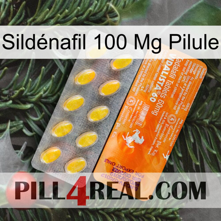 Sildénafil 100 Mg Pilule new05